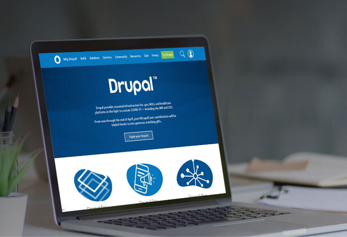 Drupal Development