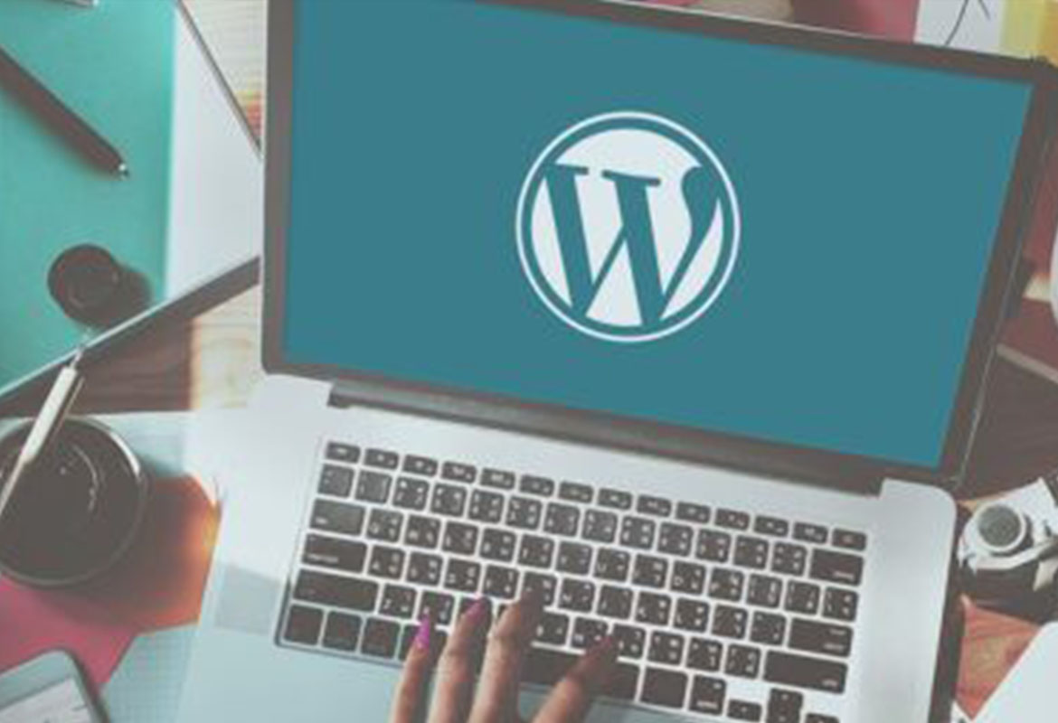 Wordpress Development